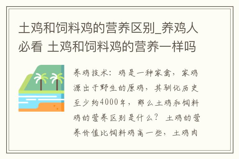 土鸡和饲料鸡的营养区别_养鸡人必看 土鸡和饲料鸡的营养一样吗