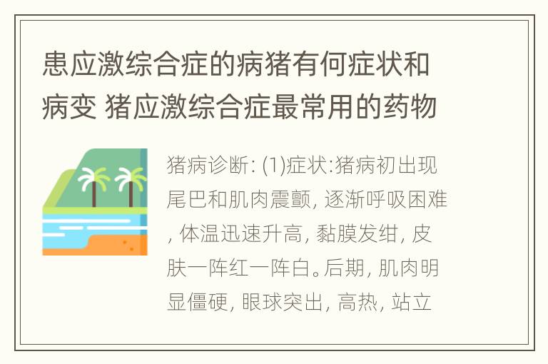 患应激综合症的病猪有何症状和病变 猪应激综合症最常用的药物是