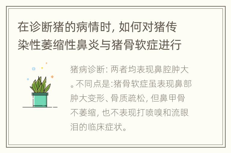 在诊断猪的病情时，如何对猪传染性萎缩性鼻炎与猪骨软症进行鉴别