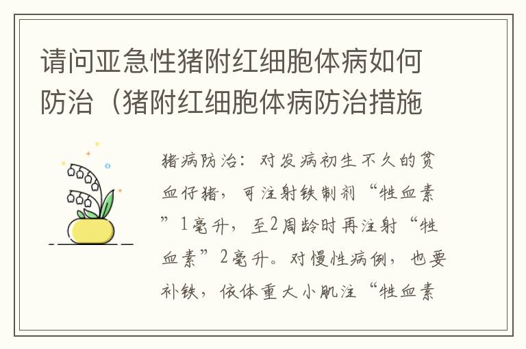 请问亚急性猪附红细胞体病如何防治（猪附红细胞体病防治措施）