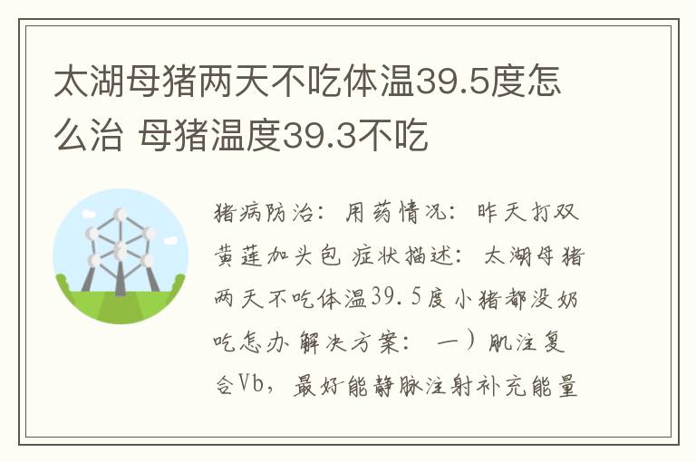 太湖母猪两天不吃体温39.5度怎么治 母猪温度39.3不吃