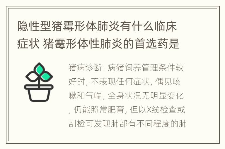 隐性型猪霉形体肺炎有什么临床症状 猪霉形体性肺炎的首选药是哪种?