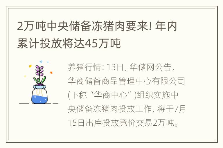 2万吨中央储备冻猪肉要来！年内累计投放将达45万吨