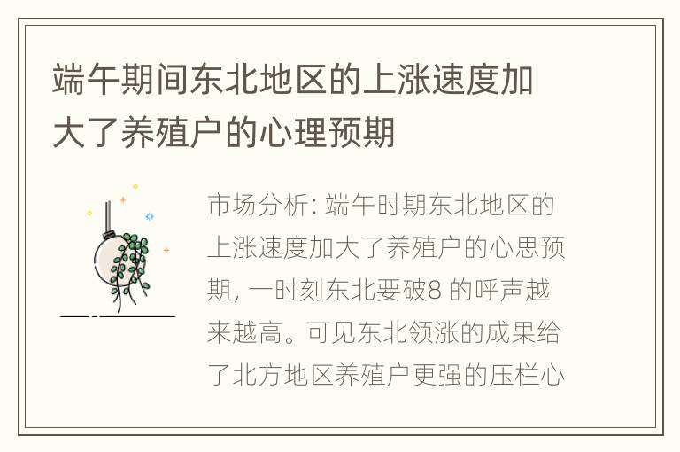 端午期间东北地区的上涨速度加大了养殖户的心理预期