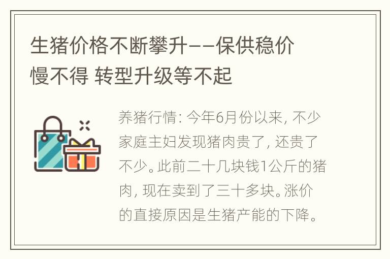 生猪价格不断攀升——保供稳价慢不得 转型升级等不起