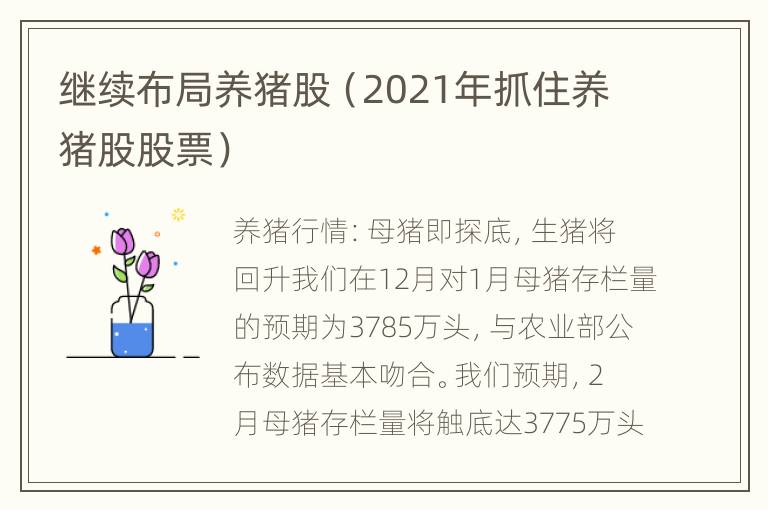 继续布局养猪股（2021年抓住养猪股股票）