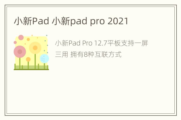 小新Pad 小新pad pro 2021