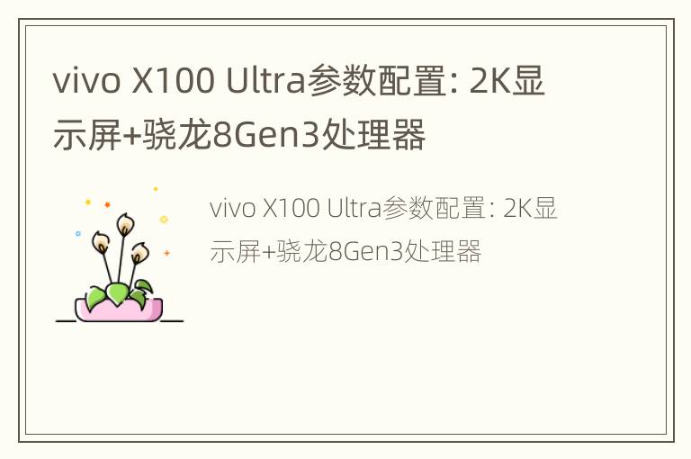 vivo X100 Ultra参数配置：2K显示屏+骁龙8Gen3处理器