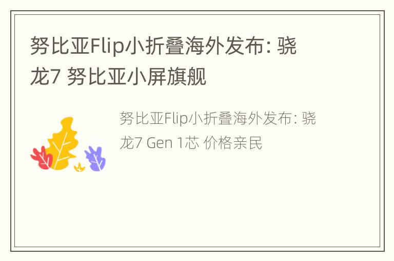 努比亚Flip小折叠海外发布：骁龙7 努比亚小屏旗舰