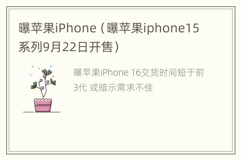 曝苹果iPhone（曝苹果iphone15系列9月22日开售）