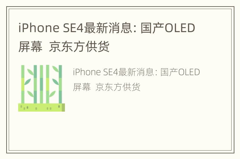 iPhone SE4最新消息：国产OLED屏幕  京东方供货