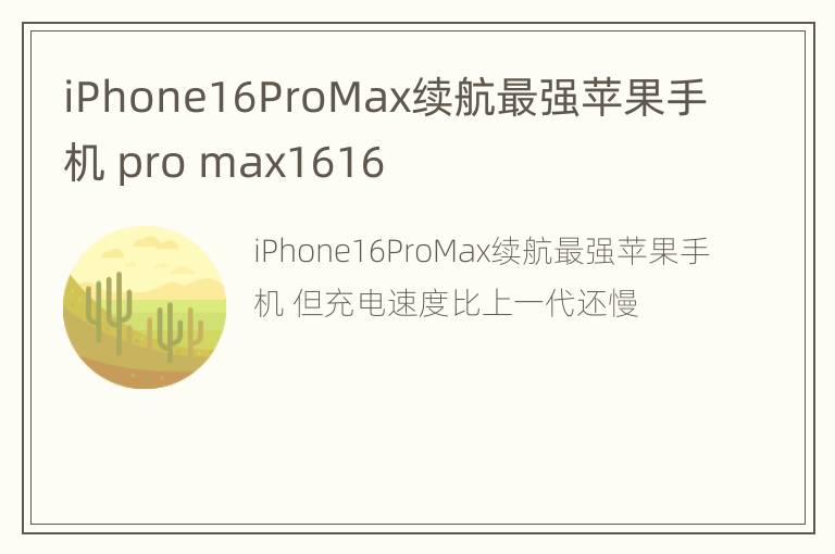 iPhone16ProMax续航最强苹果手机 pro max1616