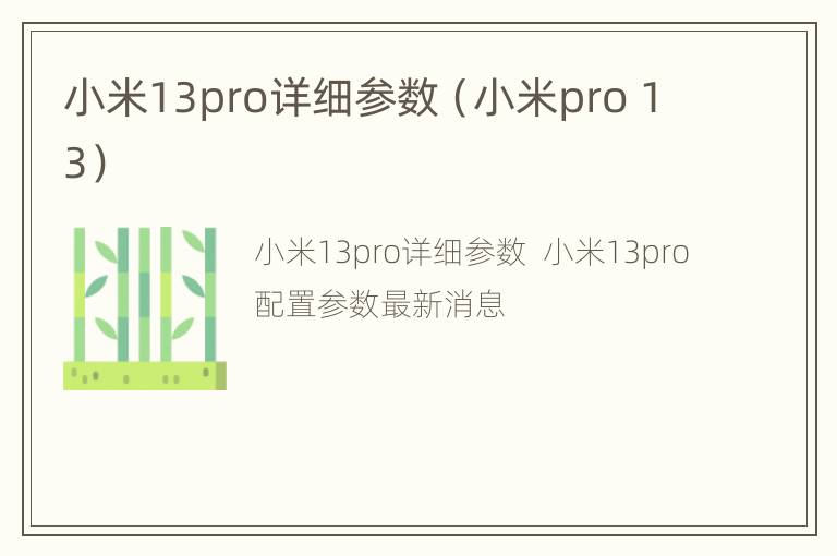 小米13pro详细参数（小米pro 13）