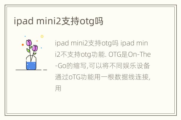 ipad mini2支持otg吗