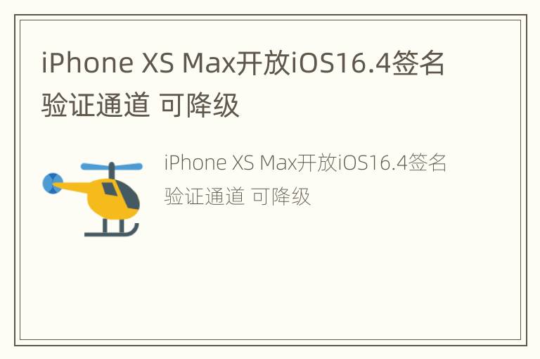 iPhone XS Max开放iOS16.4签名验证通道 可降级