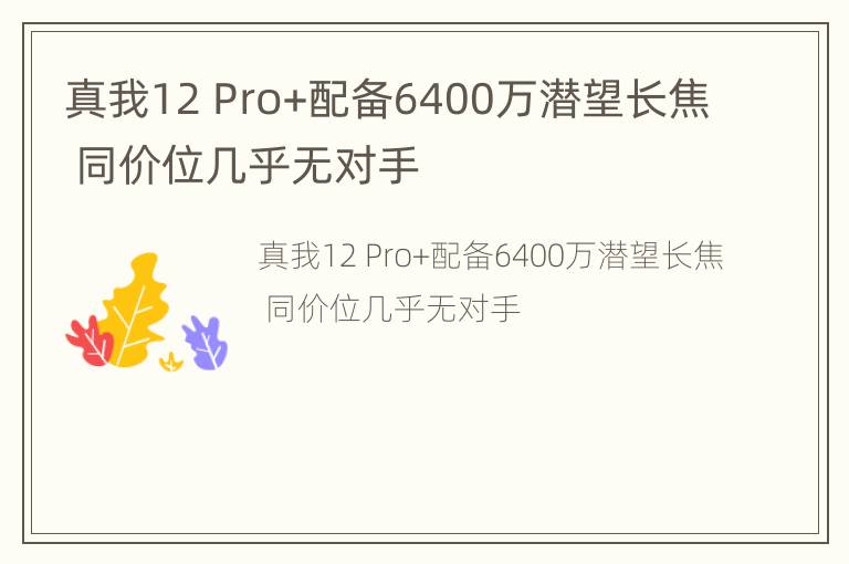 真我12 Pro+配备6400万潜望长焦 同价位几乎无对手