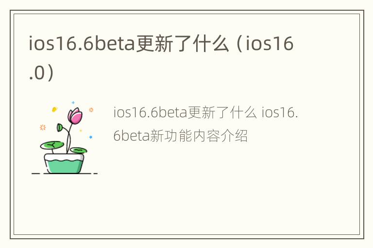 ios16.6beta更新了什么（ios16.0）