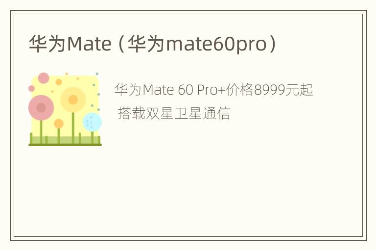 华为Mate（华为mate60pro）