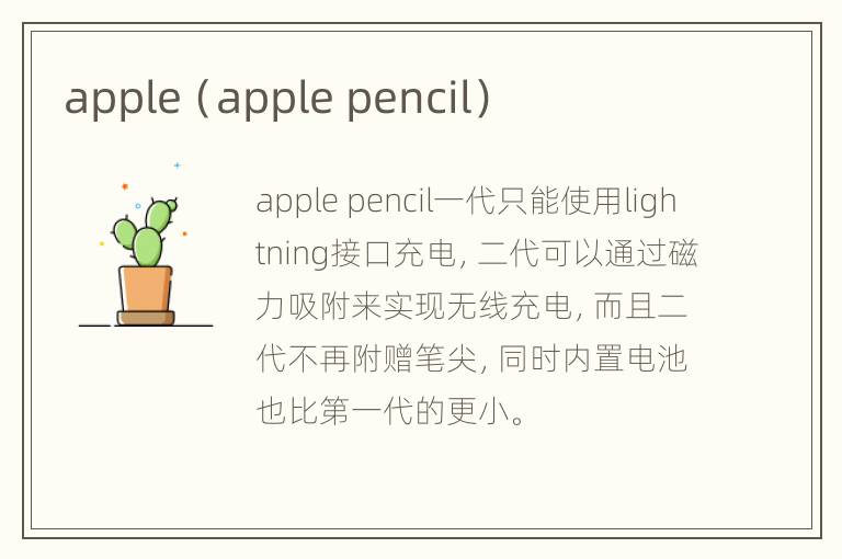 apple（apple pencil）