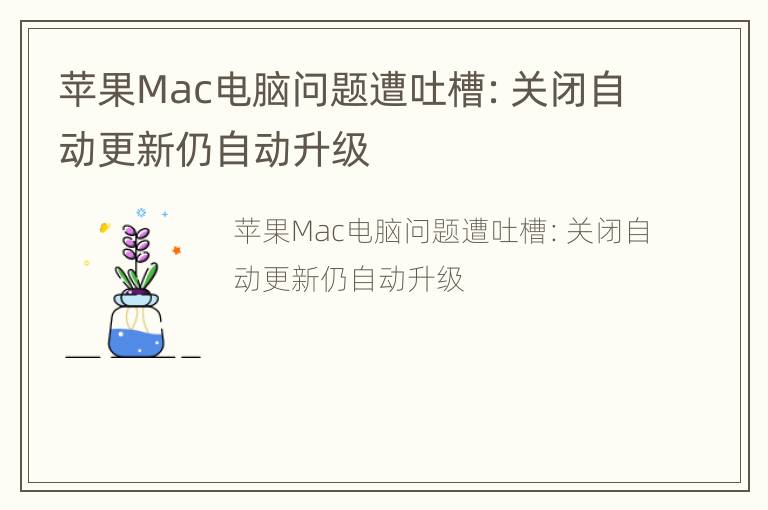 苹果Mac电脑问题遭吐槽：关闭自动更新仍自动升级