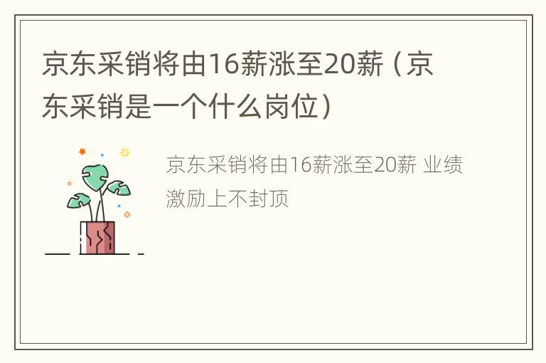 京东采销将由16薪涨至20薪（京东采销是一个什么岗位）