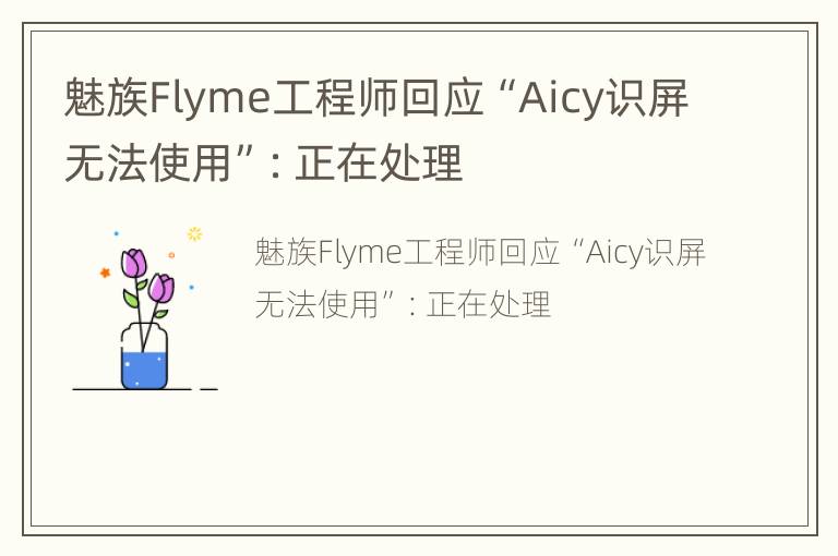 魅族Flyme工程师回应“Aicy识屏无法使用”：正在处理