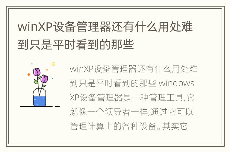 winXP设备管理器还有什么用处难到只是平时看到的那些