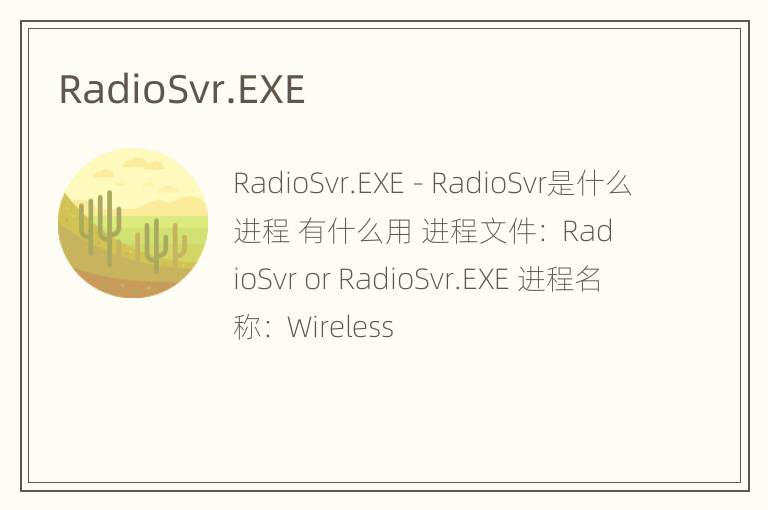 RadioSvr.EXE