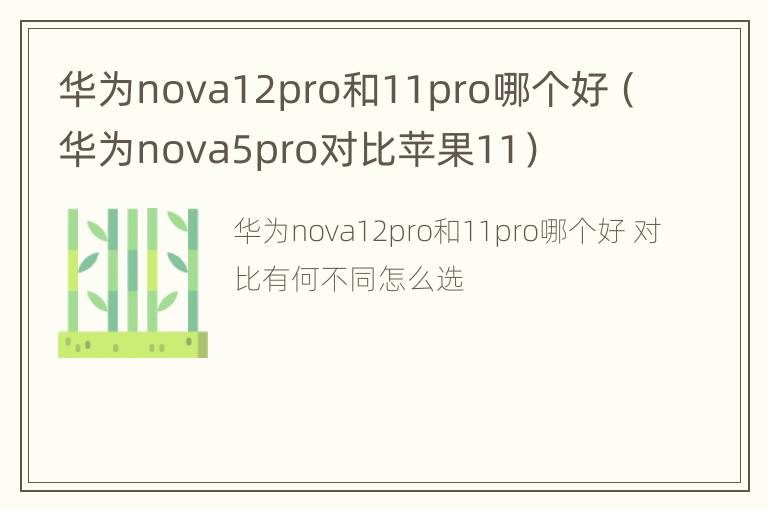 华为nova12pro和11pro哪个好（华为nova5pro对比苹果11）