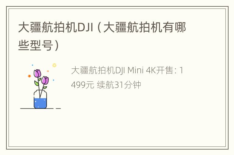 大疆航拍机DJI（大疆航拍机有哪些型号）