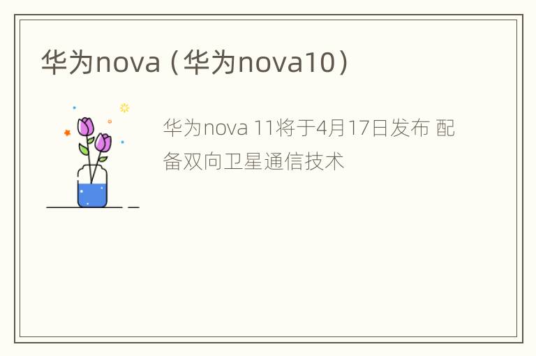 华为nova（华为nova10）