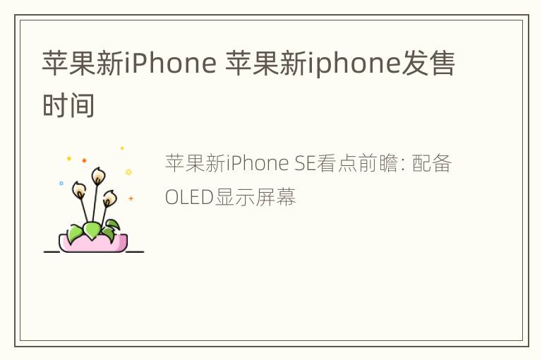 苹果新iPhone 苹果新iphone发售时间