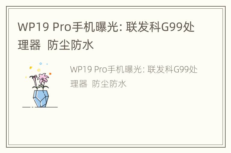 WP19 Pro手机曝光：联发科G99处理器  防尘防水