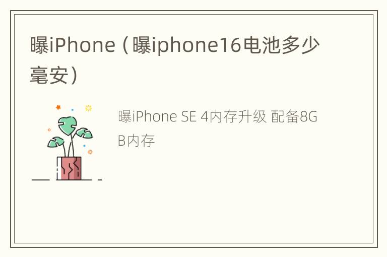 曝iPhone（曝iphone16电池多少毫安）