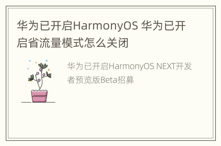 华为已开启HarmonyOS 华为已开启省流量模式怎么关闭