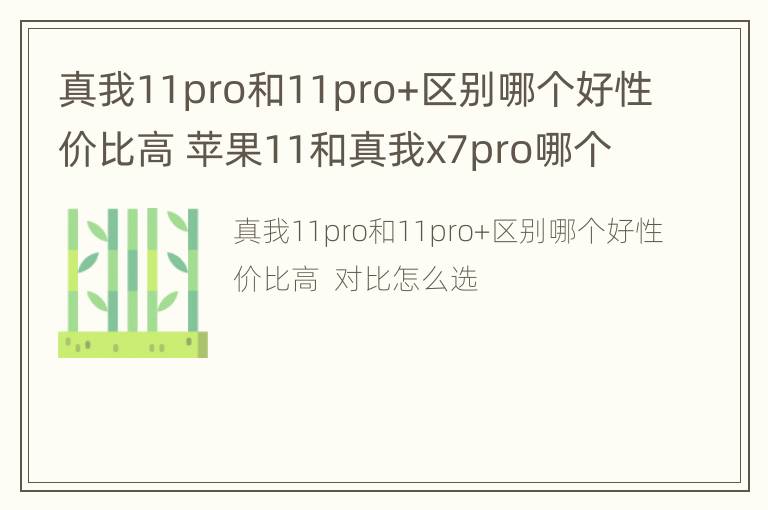 真我11pro和11pro+区别哪个好性价比高 苹果11和真我x7pro哪个好