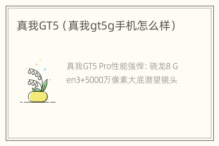 真我GT5（真我gt5g手机怎么样）