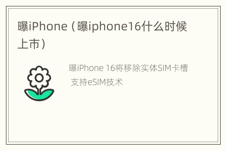 曝iPhone（曝iphone16什么时候上市）