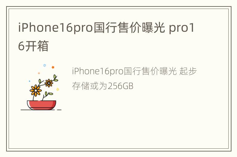 iPhone16pro国行售价曝光 pro16开箱