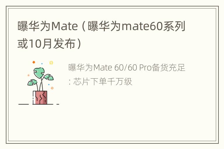 曝华为Mate（曝华为mate60系列或10月发布）