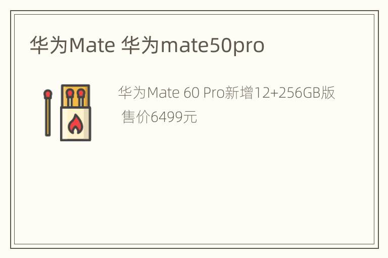 华为Mate 华为mate50pro