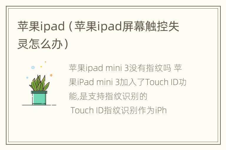 苹果ipad（苹果ipad屏幕触控失灵怎么办）