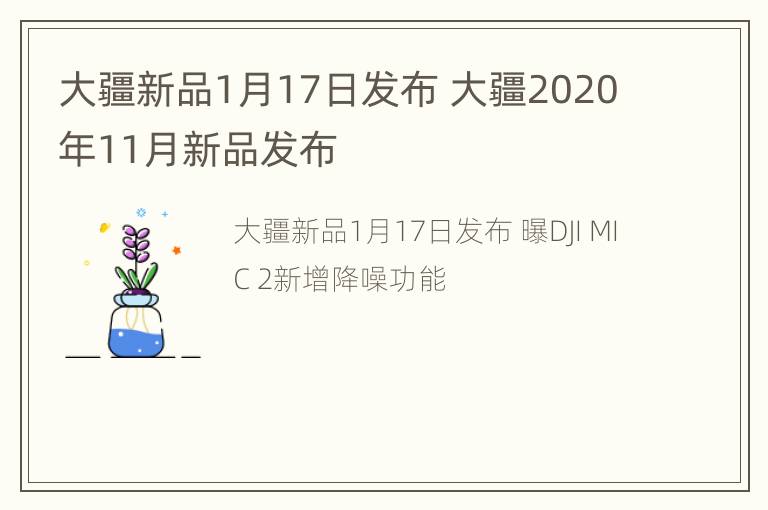 大疆新品1月17日发布 大疆2020年11月新品发布