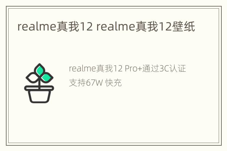 realme真我12 realme真我12壁纸