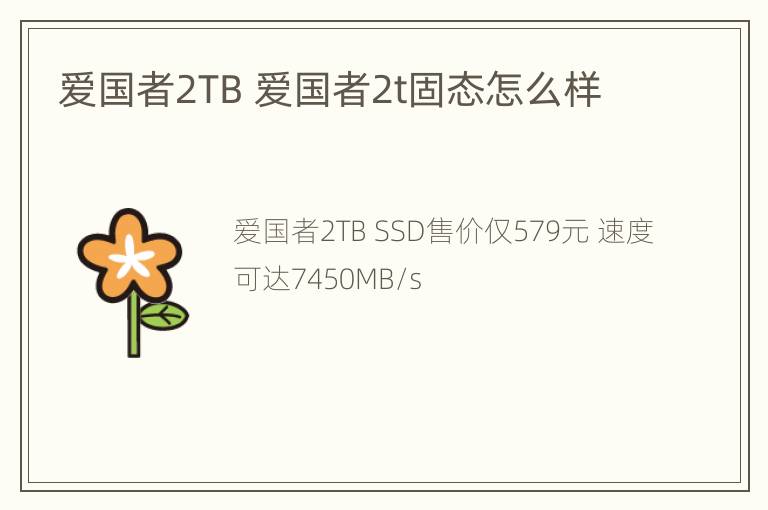 爱国者2TB 爱国者2t固态怎么样