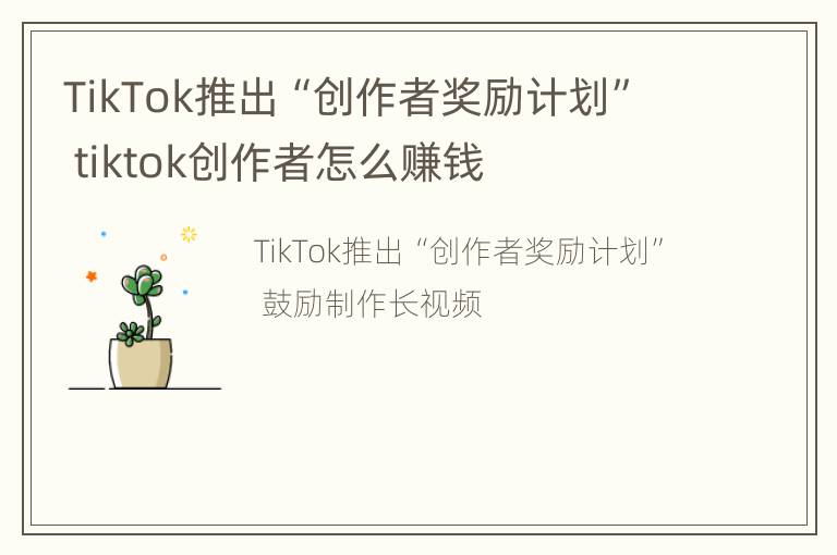 TikTok推出“创作者奖励计划” tiktok创作者怎么赚钱