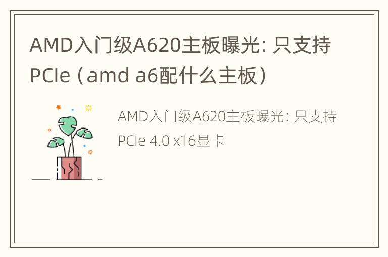 AMD入门级A620主板曝光：只支持PCIe（amd a6配什么主板）