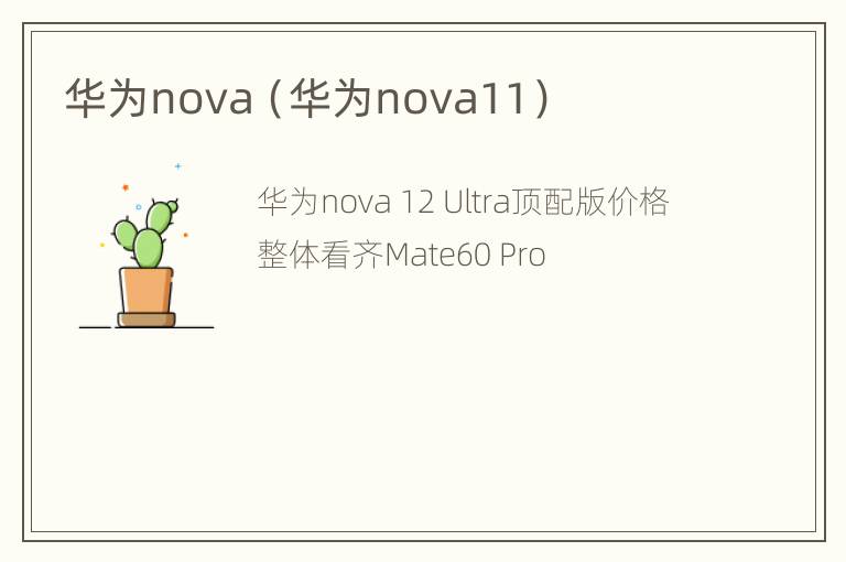 华为nova（华为nova11）