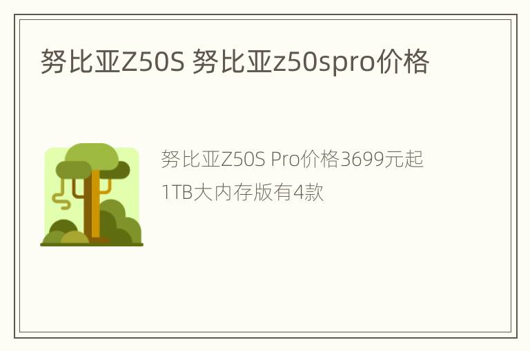 努比亚Z50S 努比亚z50spro价格