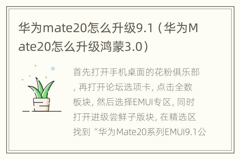 华为mate20怎么升级9.1（华为Mate20怎么升级鸿蒙3.0）